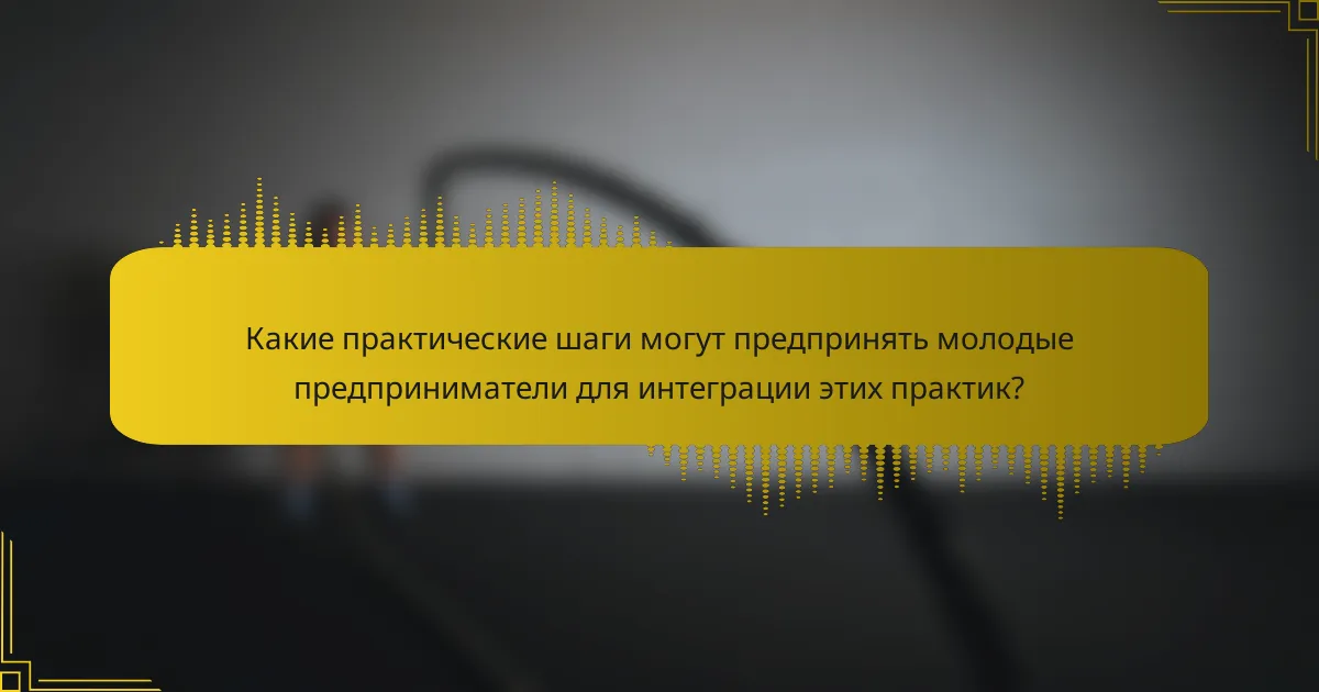 Какие практические шаги могут предпринять молодые предприниматели для интеграции этих практик?
